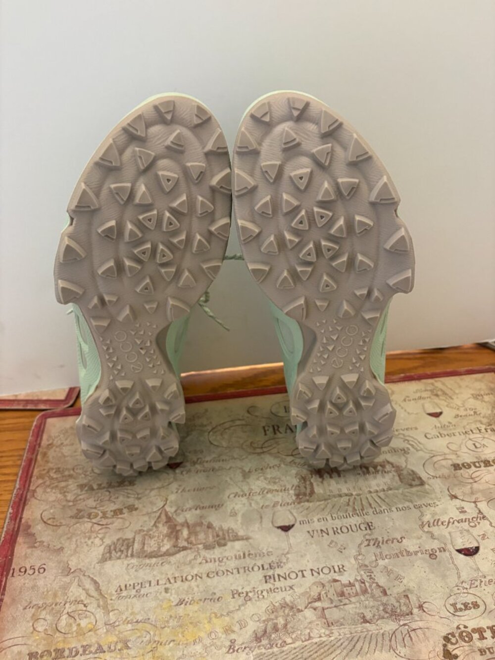 ECCO Biom 2.1 Low Trail Hiking/Running Shoes - Picture 5 of 5
